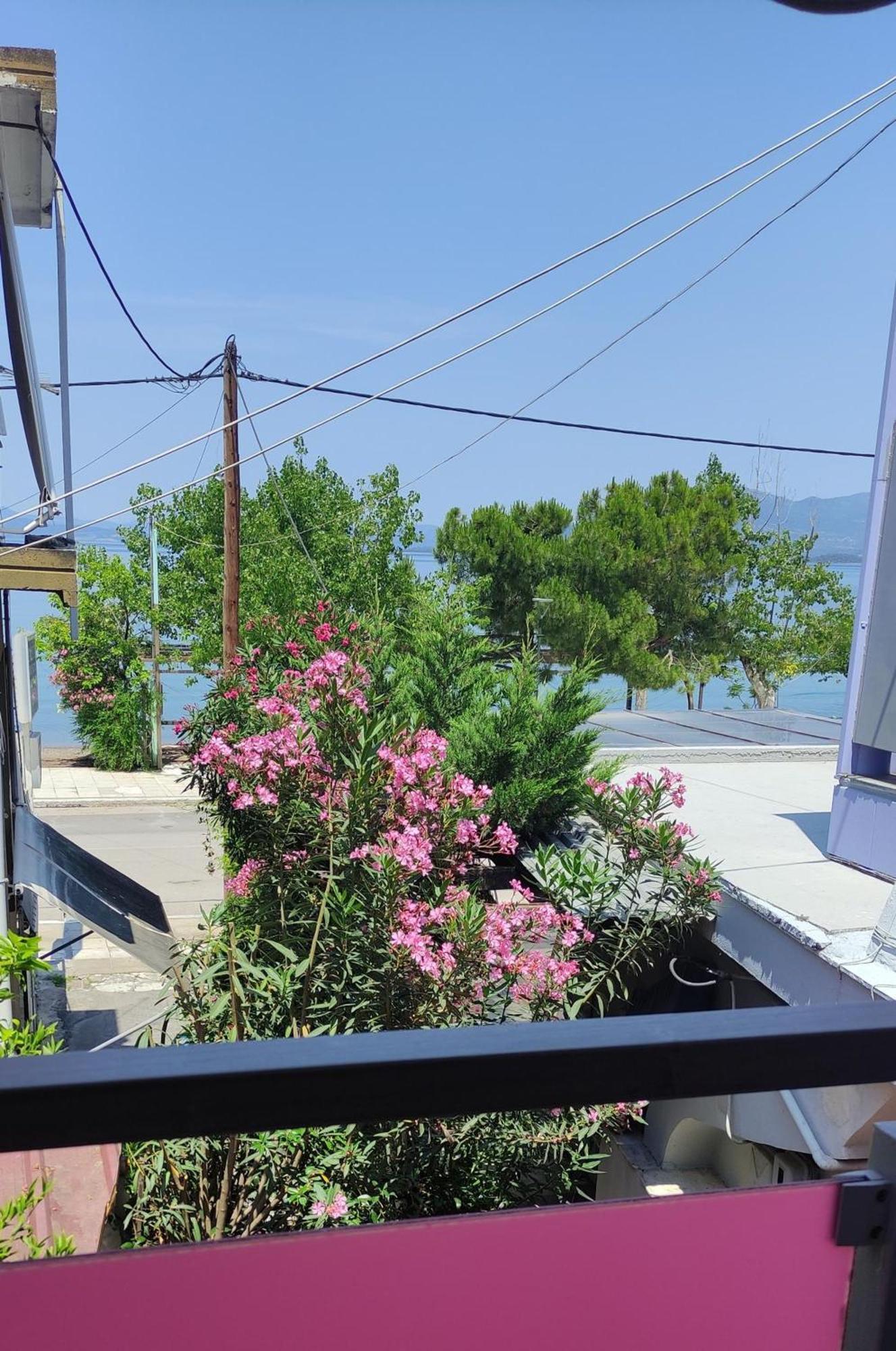 Okeania Seafront Rooms In Kamena Vourla Bagian luar foto
